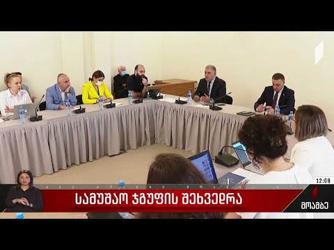 სამუშაო ჯგუფის შეხვედრა